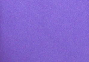 Lavender Pocket Square TPH1887/2