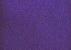 Purple Pocket Square TPH1884/4